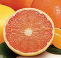Citrus paradisi macf